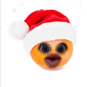 Meet your Posher, Bailey